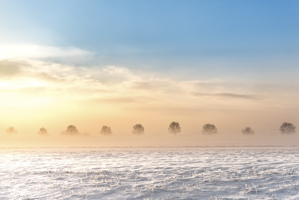 12. Platz Karoline Thalhofer
